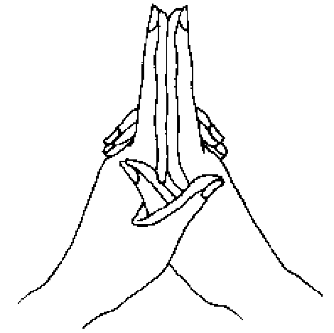 Mudra dokonalosti